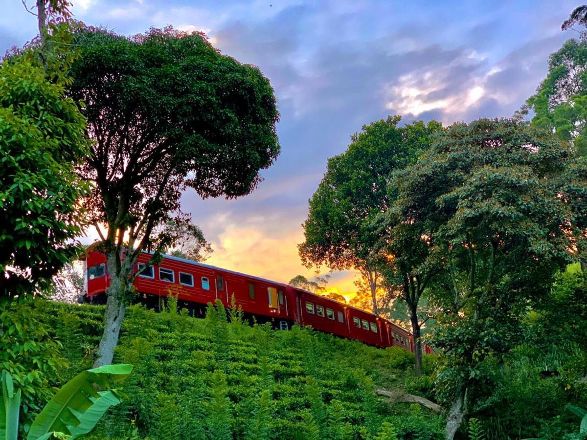 Train View Chalet 호텔 반다라웰라 외부 사진