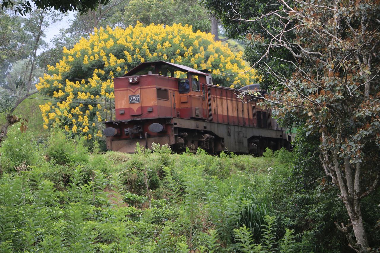 Train View Chalet 호텔 반다라웰라 외부 사진